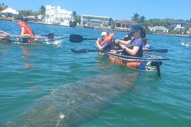 Clear Kayak Glass Bottom Day Tour - Anna Maria Island - The Highlights