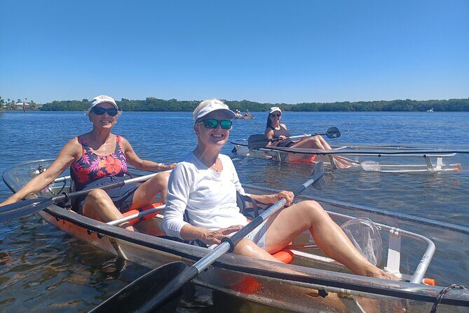 Clear Kayak Glass Bottom Day Tour - Sarasota - The Wildlife and Scenery