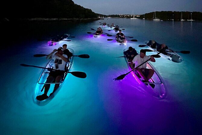 Clear Kayak Glow Night Tour - What’s the Tour All About?
