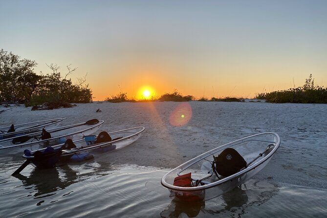 Clear Kayak Guided Eco Tour in North Naples - Key Points