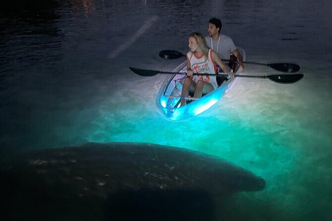 Clear Kayak Manatee Viewing Sunset and Glow Tour of Crystal River - The Experience: What to Expect