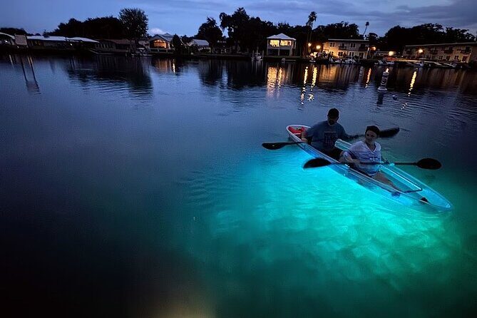 Clear Kayak Manatee Viewing Sunset and Glow Tour of Crystal River - Things to Keep in Mind