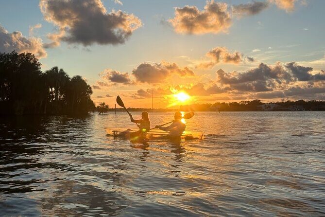 Clear Kayak Manatee Viewing Sunset and Glow Tour of Crystal River - Final Thoughts