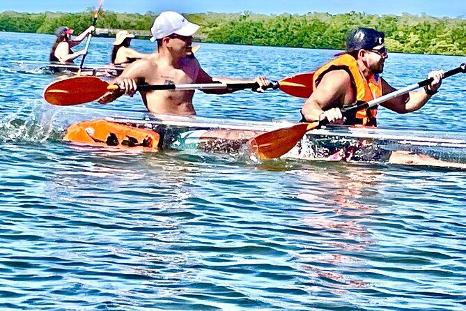 Clear Kayak Private Guided Day and Night Tours in Florida - Who Will Love This Tour?