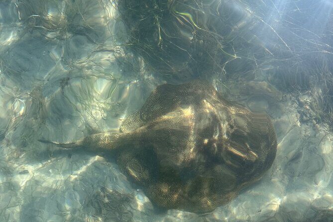 Clear Kayak RentalPeanut Island/West Palm Beach - The Experience: From Start to Finish