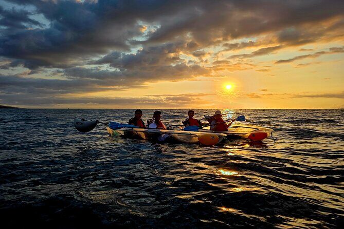 Clear Kayak Sunset and Glow Tour in Maui - Pricing and Value