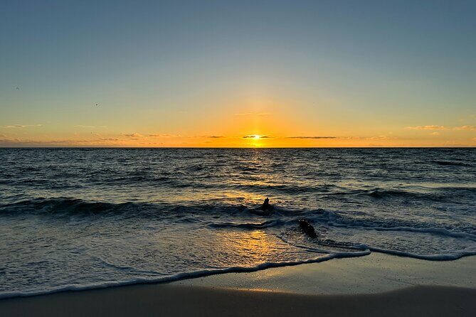 CLEAR Kayak Sunset & Light Tour - Bonita Springs / Ft Myers Beach - What the Reviews Say