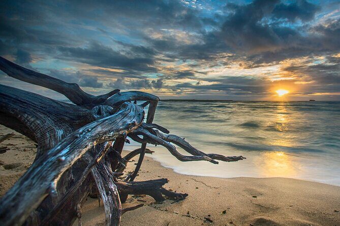 CLEAR Kayak Sunset & Light Tour - Bonita Springs / Ft Myers Beach - Final Thoughts