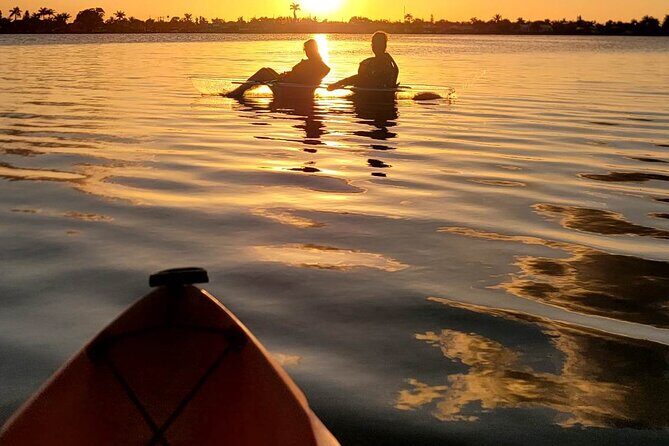 Clear Kayak Sunset Tour - Cocoa Beach - An Honest Look at the Experience