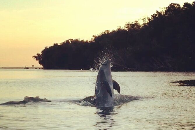 Clear Kayak Sunset Tour - Cocoa Beach - FAQ