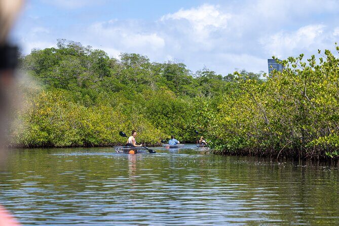 Clear Kayak Tour in North Miami Beach - Mangrove Tunnels - Final Thoughts