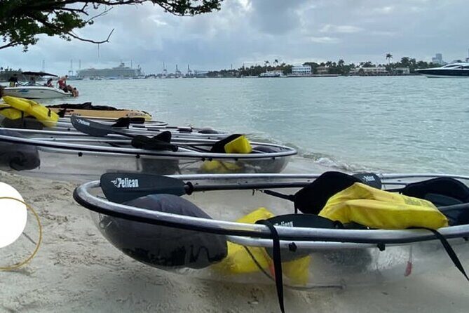 Clear Kayak Tour in South Miami Beach and Biscayne Bay - Discover the Clear Kayak Tour in South Miami Beach and Biscayne Bay