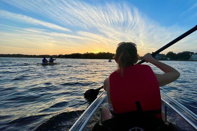 Clear Kayak Tour of Tarpon Springs | Manatee Season - Price and Value