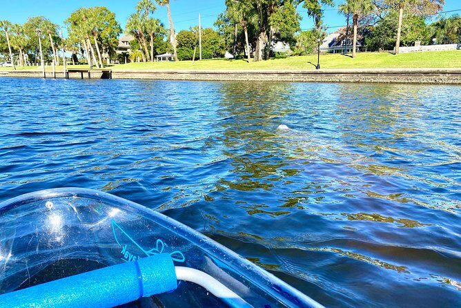 Clear Kayak Tour of Tarpon Springs | Manatee Season - Final Thoughts: Who Is This Tour for?