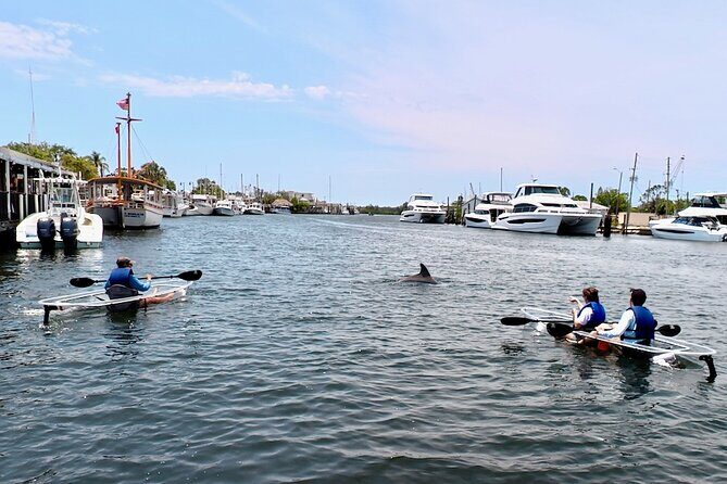 Clear Kayak Tour of Tarpon Springs Sponge Docks & Mangroves - What We Loved and What to Consider