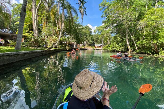 Clear Kayak Tours in Weeki Wachee - What to Expect from the Tour