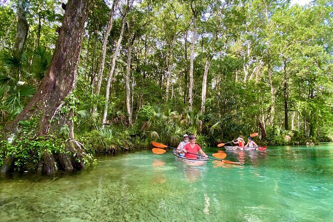 Clear Kayak Tours in Weeki Wachee - The Equipment and Comfort