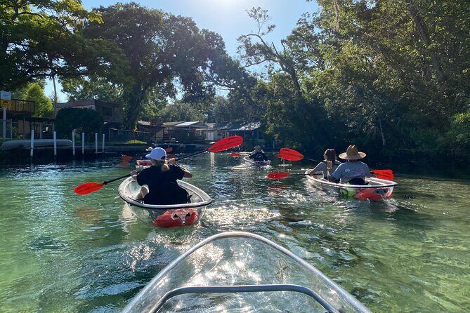 Clear Kayak Tours in Weeki Wachee - The Duration and Group Size