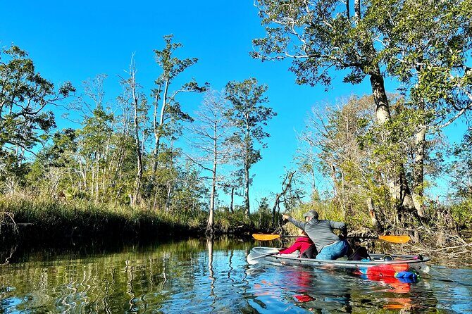 Clear Kayak Tours in Weeki Wachee - Is It Worth the Price?