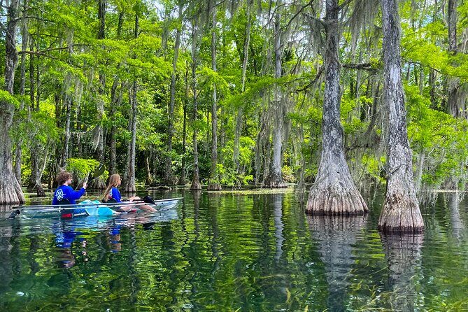Clear Kayaking Eco Adventure Tour in Marianna - Why Do Travelers Love This Tour?