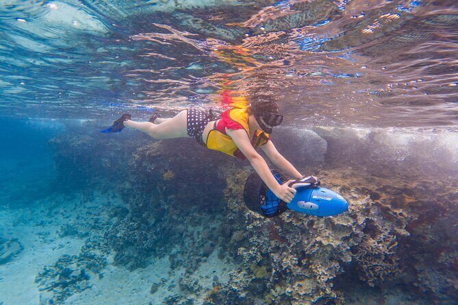 Clear Kayaking, Sea Scooters Adventure - Logistics and Practicalities