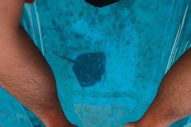 Clear Kayaking, Sea Scooters Adventure - Who Should Consider This Tour?