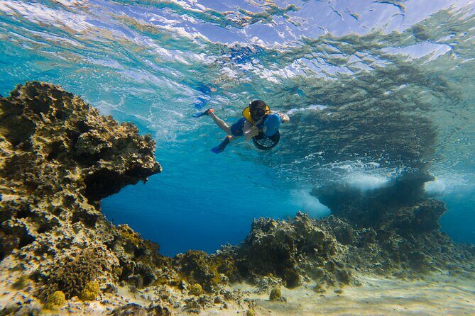 Clear Kayaking, Sea Scooters Adventure - FAQs