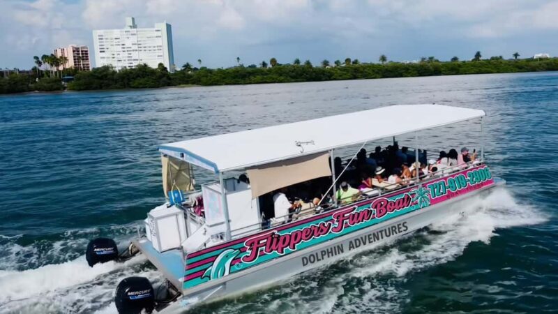 Clearwater Beach: Dolphin Excursion - Flippers Fun Boat - Key Points