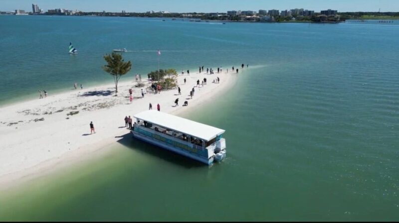 Clearwater Beach: Dolphin & Island Sandbar Cruise - The Experience for Different Travelers