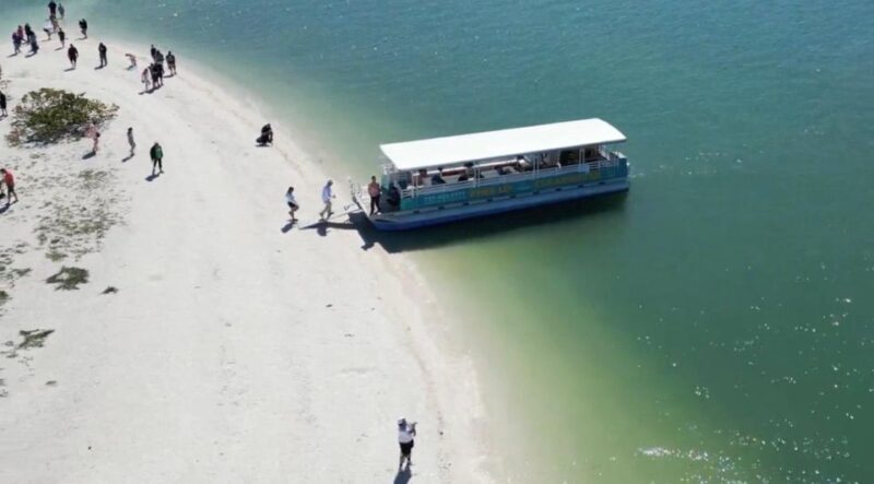 Clearwater Beach: Dolphin & Island Sandbar Cruise - The Real Deal: Pros and Cons
