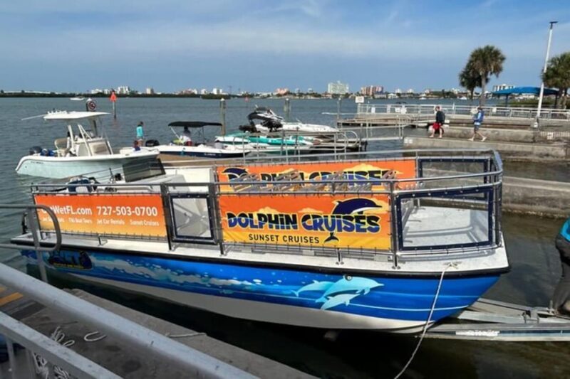 Clearwater Beach: Dolphin-Watching Sunset Cruise - Value and Cost