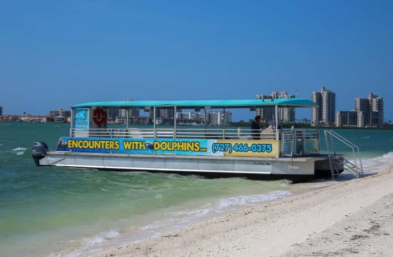 Clearwater: Dolphin Cruise with an Island Adventure - What to Expect on the Tour