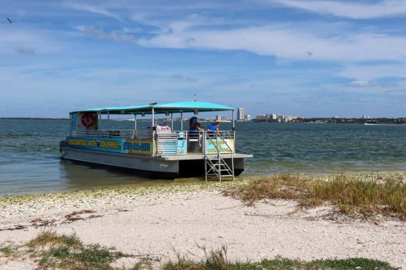 Clearwater: Dolphin Cruise with an Island Adventure - Value for Money