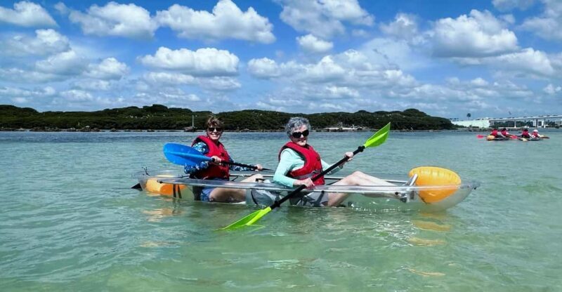 Clearwater: Guided Clear Kayaking Tour - What Is the Clearwater Guided Clear Kayaking Tour?