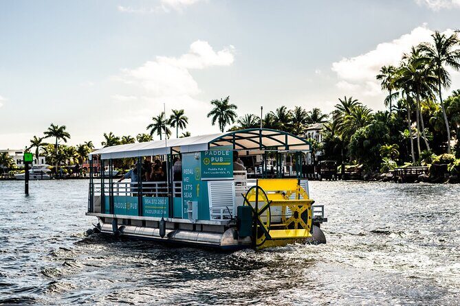 Clearwater Island Hop and Dolphin Watch with Swimming - Final Thoughts