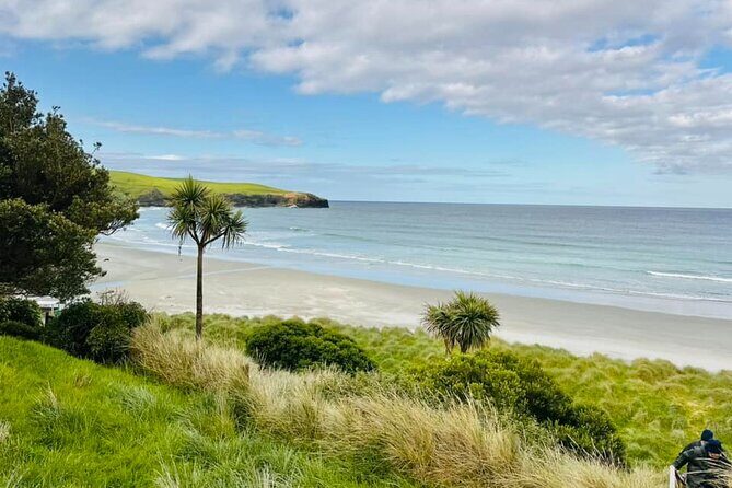 Clearwater Wildlife Tours (small group 10max) Otago Peninsula - Remember