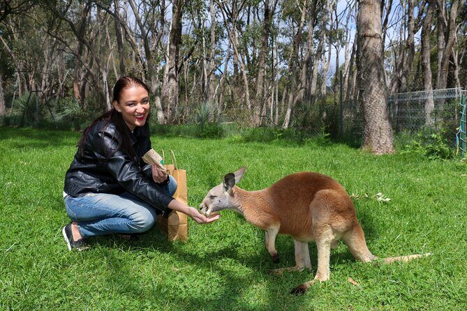 Cleland Wildlife Park Experience - from Adelaide including Mt Lofty Summit - Who Should Consider This Tour?