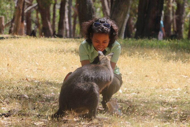 Cleland Wildlife Park Experience - from Adelaide including Mt Lofty Summit - FAQs