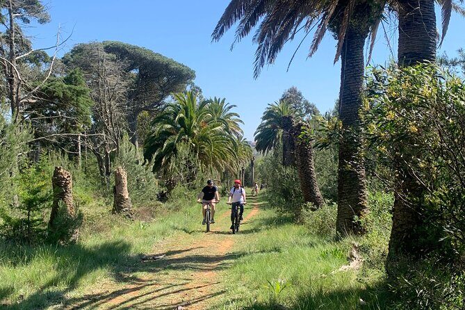 Cliff Top Ride - The Value for Money