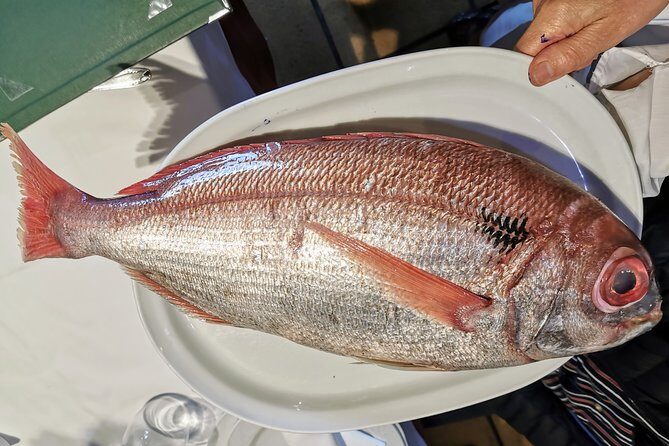 CLIFFS, GRILLED FISH and TXAKOLI WINE - Private Gastronomic Adventure - FAQ