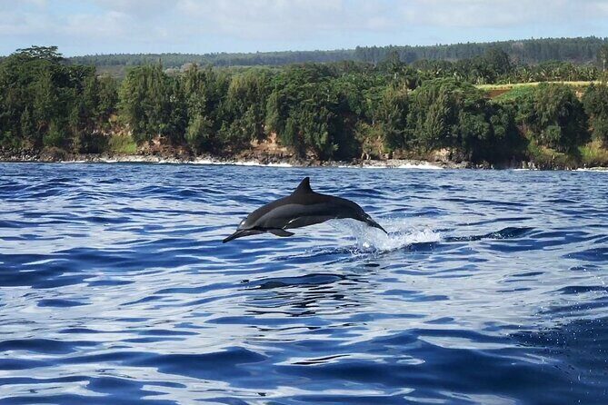 Cliff's of Hawai'i Onomea Waterfall Cruise - Practical Details and Tips