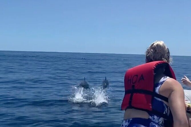 Cliff's of Hawai'i Onomea Waterfall Cruise - The Sum Up