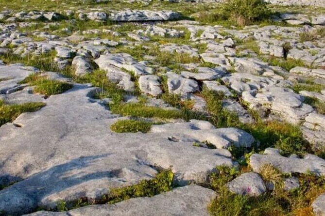 Cliffs of Moher, Burren and Galway 2 Days Private Chauffeur Tour - What to Expect from the Tour: An In-Depth Look