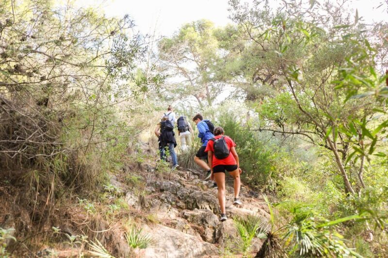 Climb the La Concha: Guided Private Hiking Trip - Starting Point & Logistics