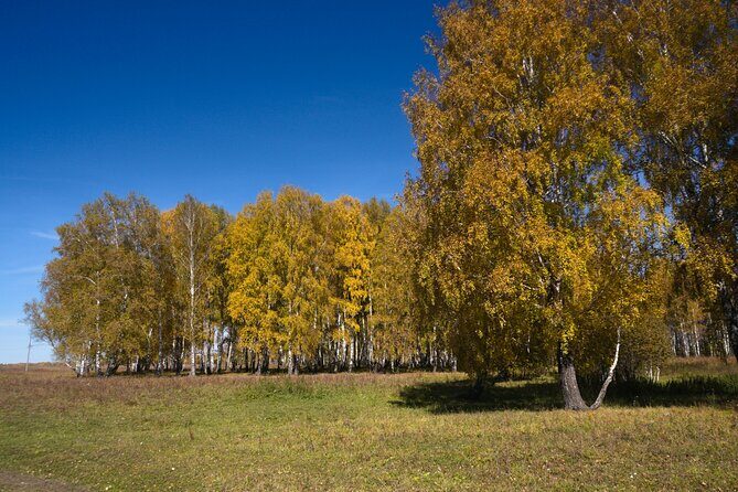 Clingmans Dome Self Guided Walking Audio Tour - The Bottom Line