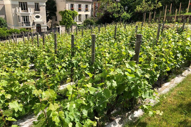 Clos Montmartre 'Paris in your Glass' Wine Tasting - What Travelers Say