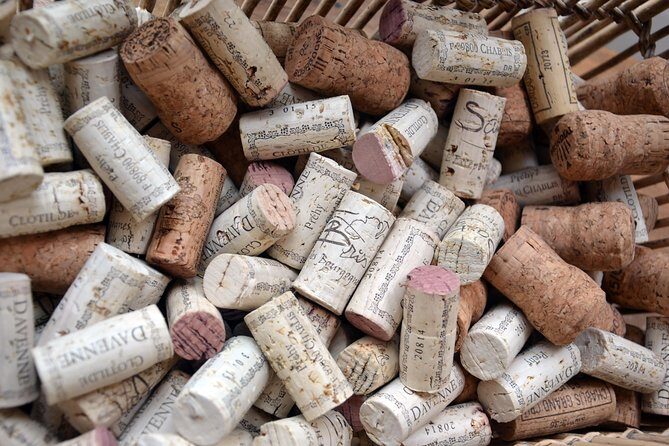 Clotilde Davenne wine and cheese pairing tasting in Chablis - The Experience and Atmosphere