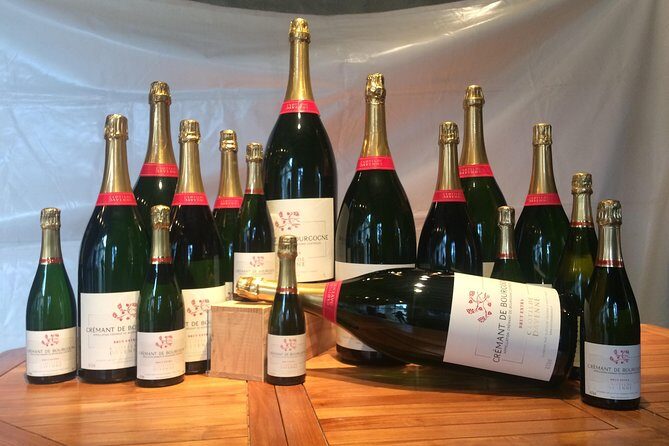 Clotilde Davenne wine and cheese pairing tasting in Chablis - The Pros: Why This Experience Might Work for You