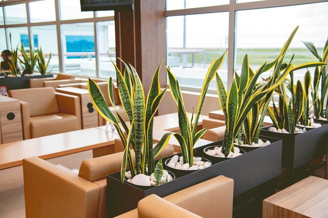 Club Mobay Sangster Airport VIP Lounge with Priority Entry - Service quality: the people behind the process