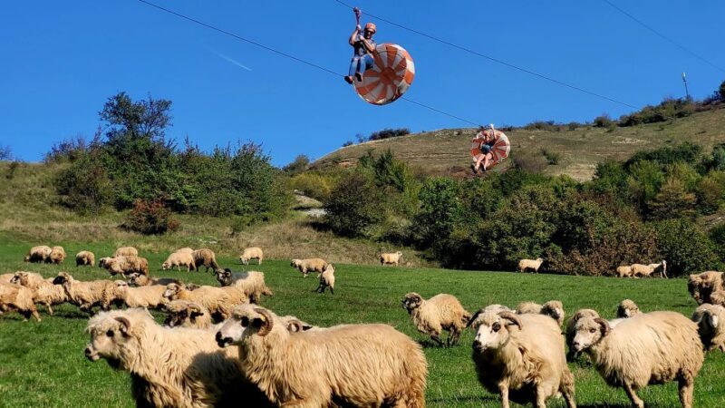 Cluj: Outdoor Activities Day Trip with Zip Line and Hike - Final Thoughts